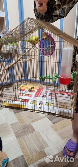 Клетка для птиц