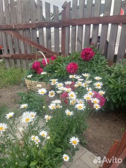 Корзинка для клумбы