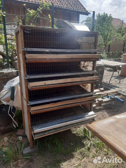 Клетки для перепелов