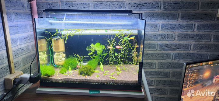 Аквариум на 60 литров