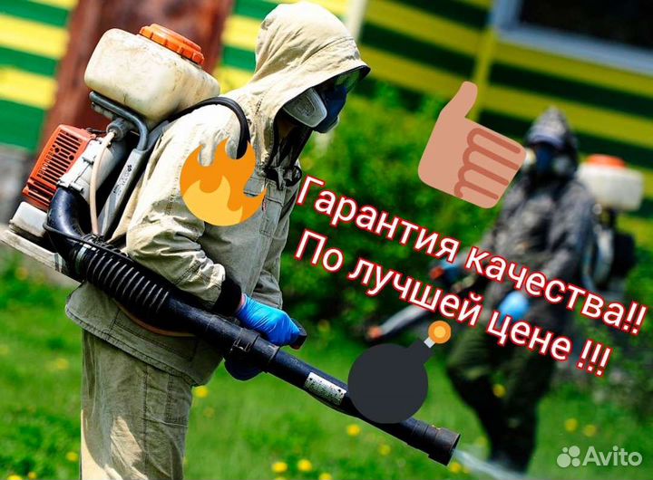 Обработка участка от борщевика, клещей,комаров