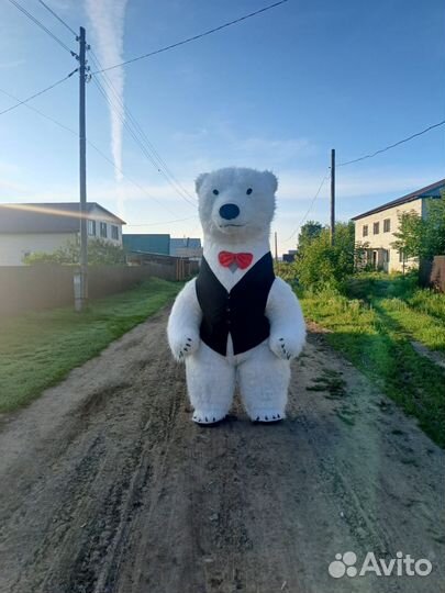 Белый Мишка на поздравление