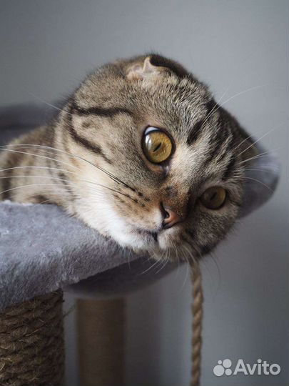 Фотоаппарат olympus PEN e-pl8 с объективом