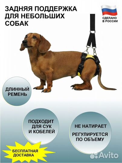 Задняя поддержка для маленьких собак (ходунки)