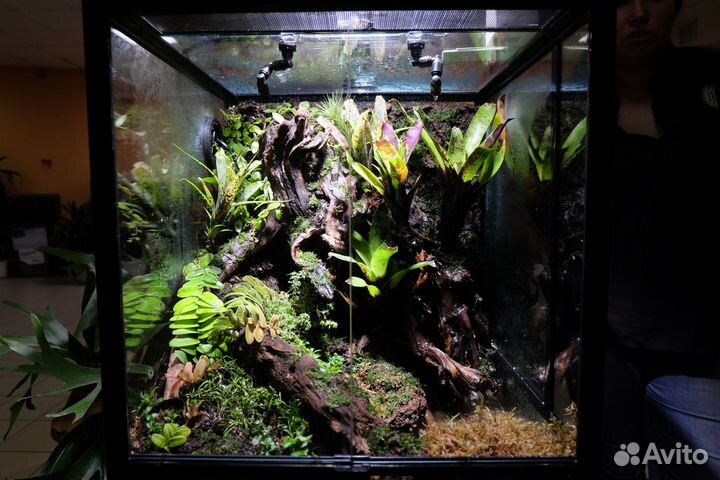 Чистка террариумов\уход за экзотическими животными