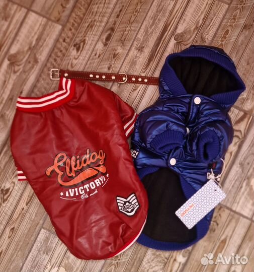 Одежда для собак