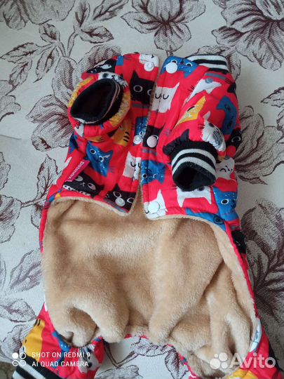 Одежда для собак