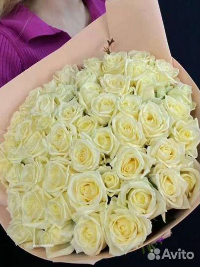 Роза местная