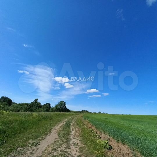 Участок 21,5 сот. (ИЖС)