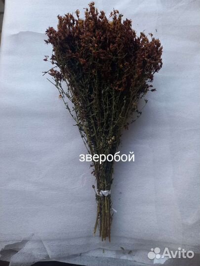 Зверобой в пучках(сухой), есть еще травы в наличии