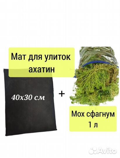 Наборы для улиток Ахатина, Архахатина