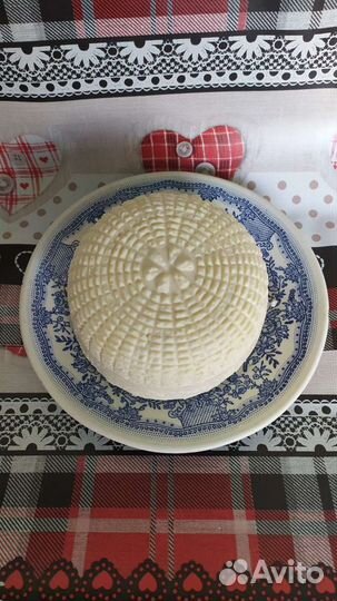 Сыр адыгейский