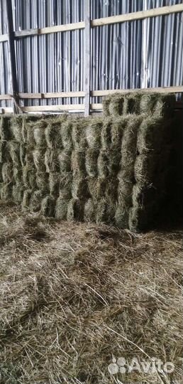 Солома, Сено луговое в тюках
