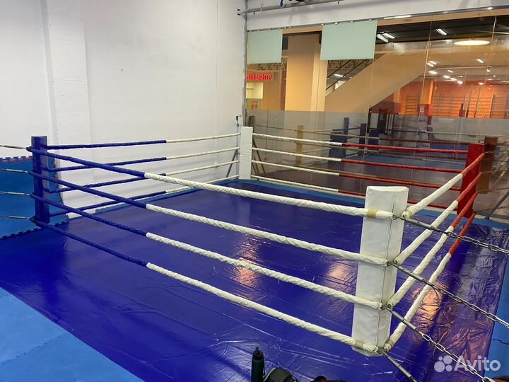 Бокс, кикбоксинг, офп и спортивная акробатика