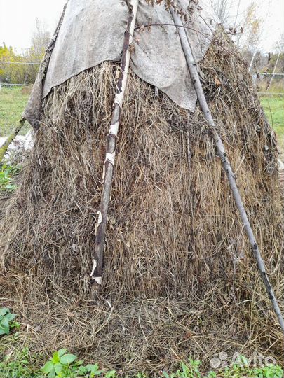 Сено луговое