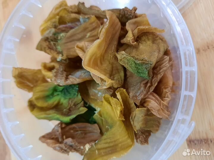 Пленка куриных желудков