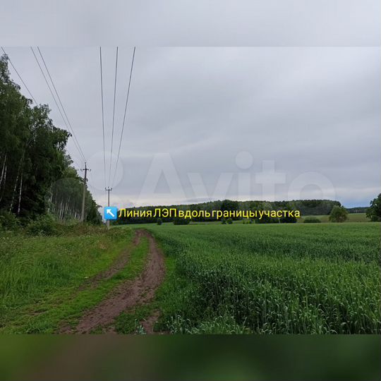 Участок 3,35 га (СНТ, ДНП)