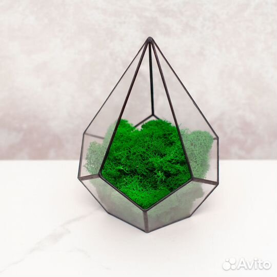 Ваза для флорариума