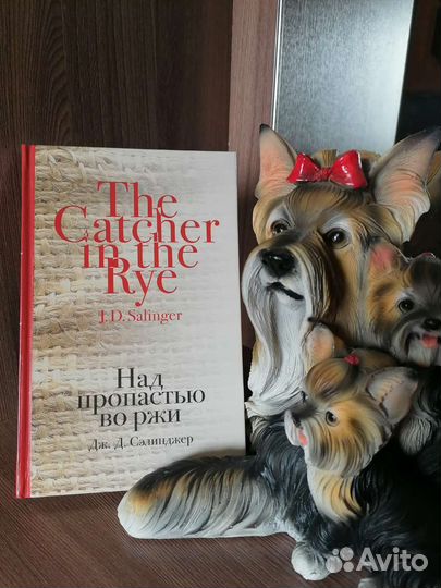 Над пропастью во ржи (Сэлинджер)
