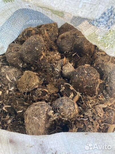 Перегной конский в мешках