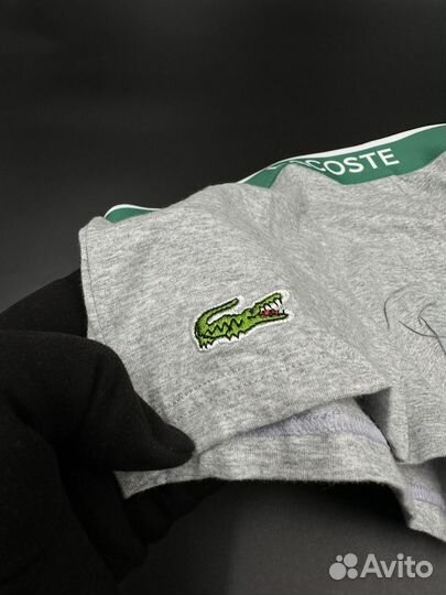 Комплект трусов Lacoste