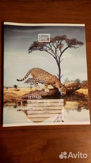 Тетради в линейку, клетку, для черчения