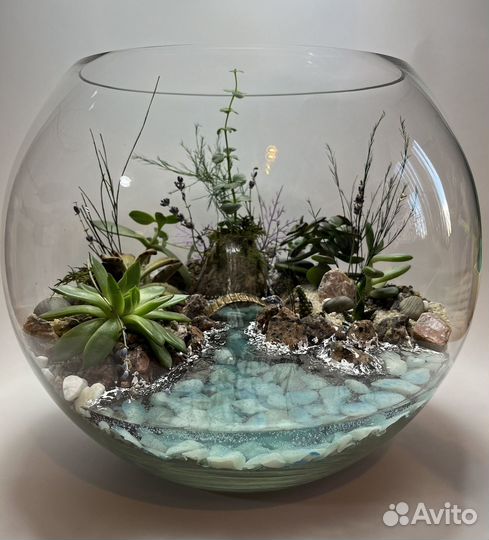 Флорариум 