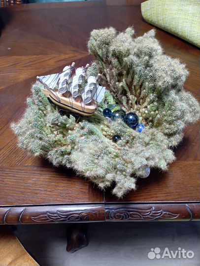 Фитокомпозиция 