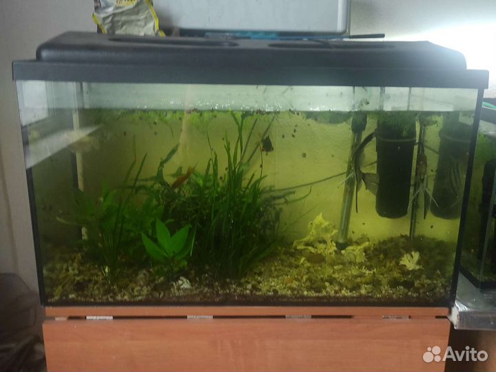 Украшения для аквариума