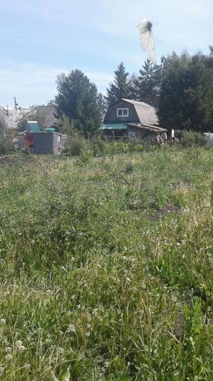 Участок 4,6 сот. (СНТ, ДНП)