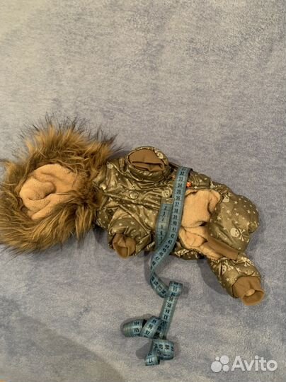 Одежда для собак