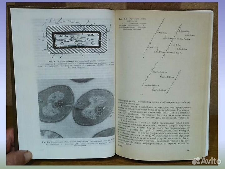 Медицинская микробиология Борисов Смирнова