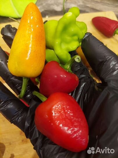 Семена пикантных мини перцев