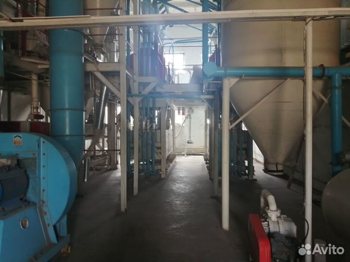 Производство масла подсолнечного и муки