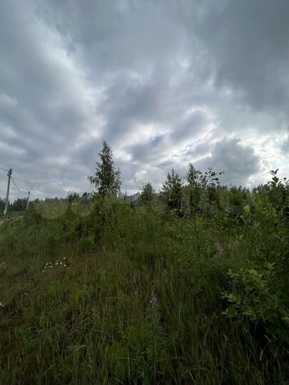 Участок 8,6 сот. (СНТ, ДНП)