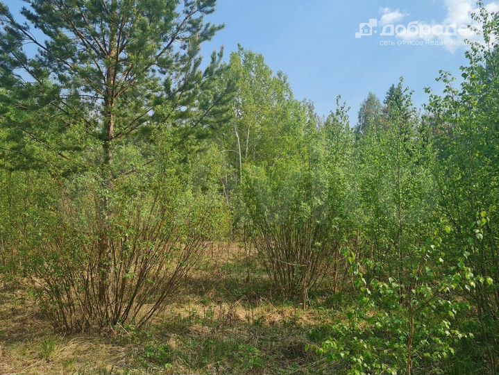 Участок 9,4 сот. (СНТ, ДНП)