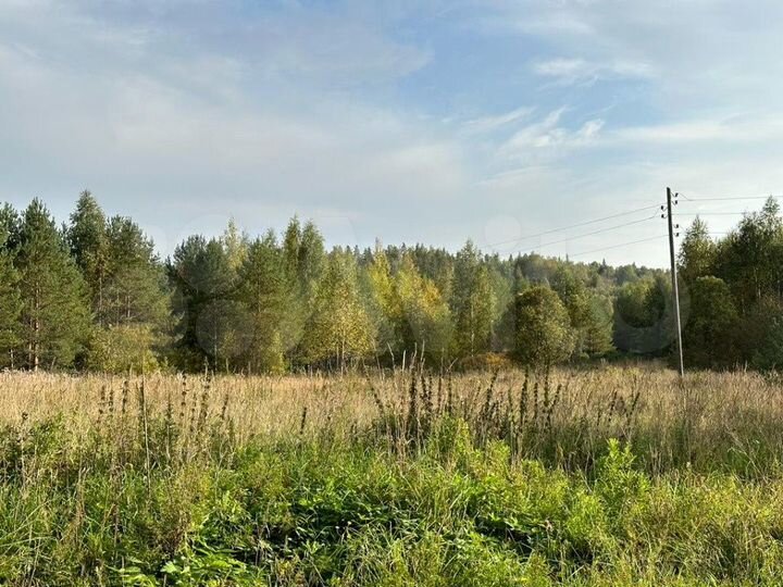 Участок 10 сот. (СНТ, ДНП)