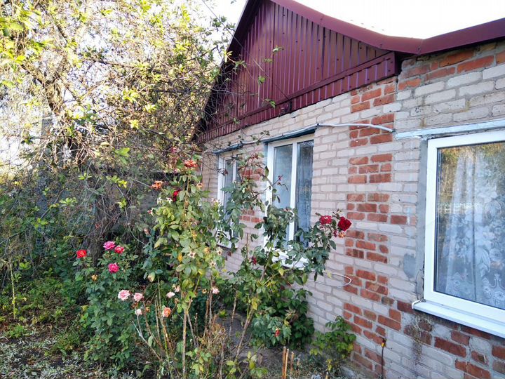 Дом 56 м² на участке 25 сот.