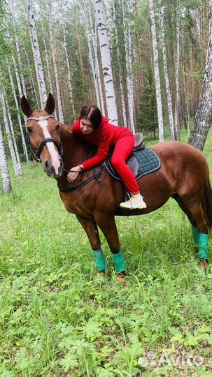 Конные прогулки