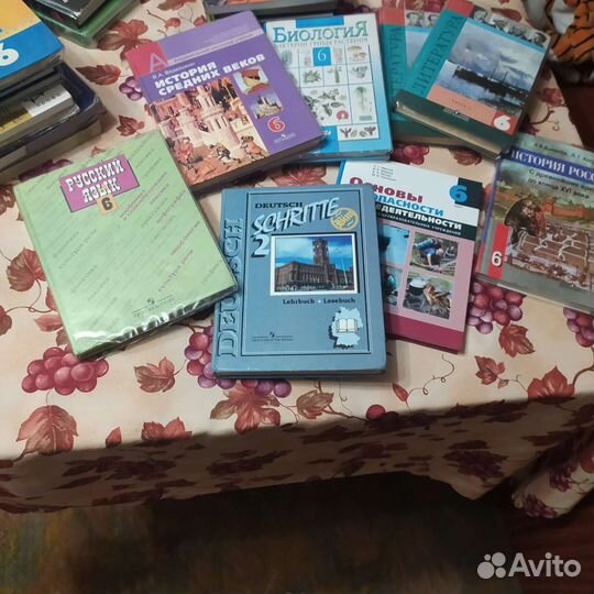 Учебники 6 класс (2 учебника за 7 класс)