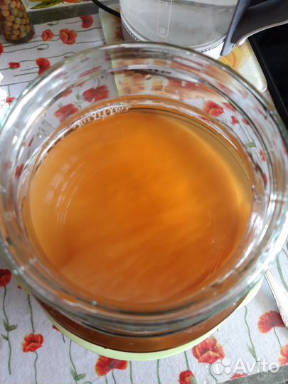 Чайный гриб. натуральный.Выращенный с любовью