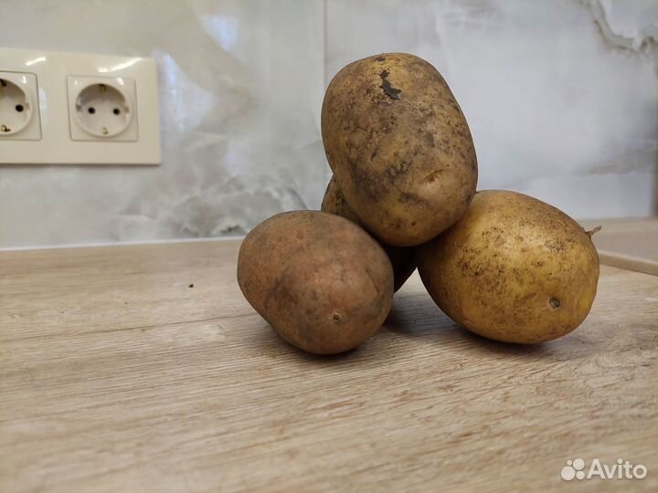 Продам картофель