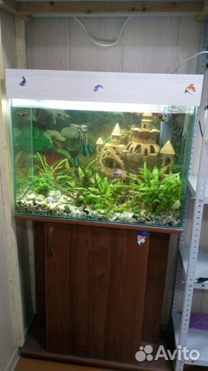 Аквариум 100 литров с тумбой