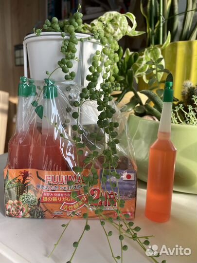 Удобрение японское для орхидей, суккулентов