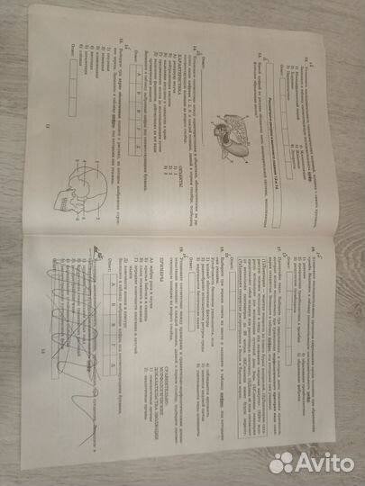 Егэ биология