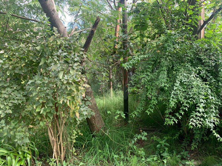 Участок 11,5 сот. (ИЖС)