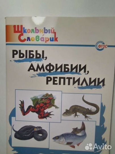 Рыбы амфибии рептилии