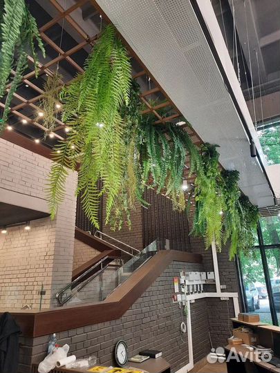 Вертикальное озеленение / Фитостена