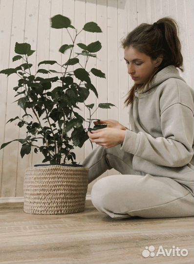 Корзина для хранения
