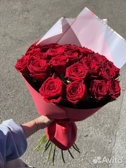 25 роз, 51 роза, 101 роза. В любом количестве